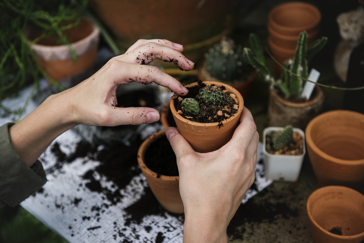 Maak van je huis een oase met terracotta en planten