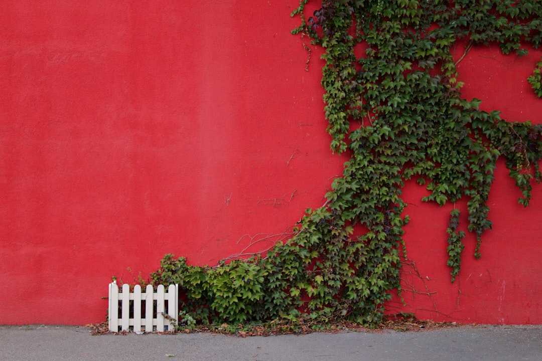 Lelijke tuinmuur verbergen met een schitterende tuinposter: dé creatieve oplossing!