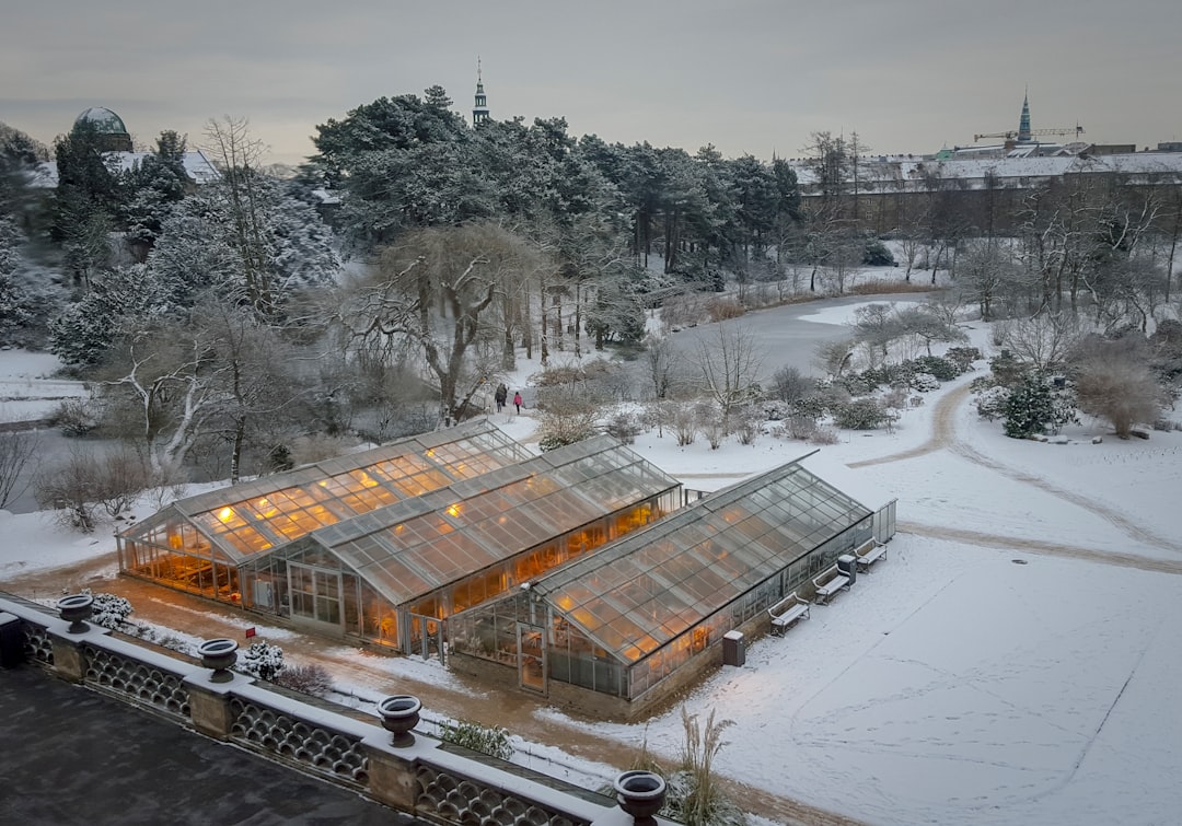 Zomers comfort: verwarmd glas voor je wintertuin