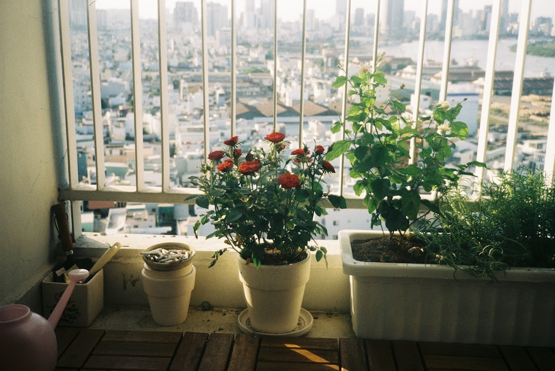 Micro-herfstmoestuinen: je balkon voorbereiden