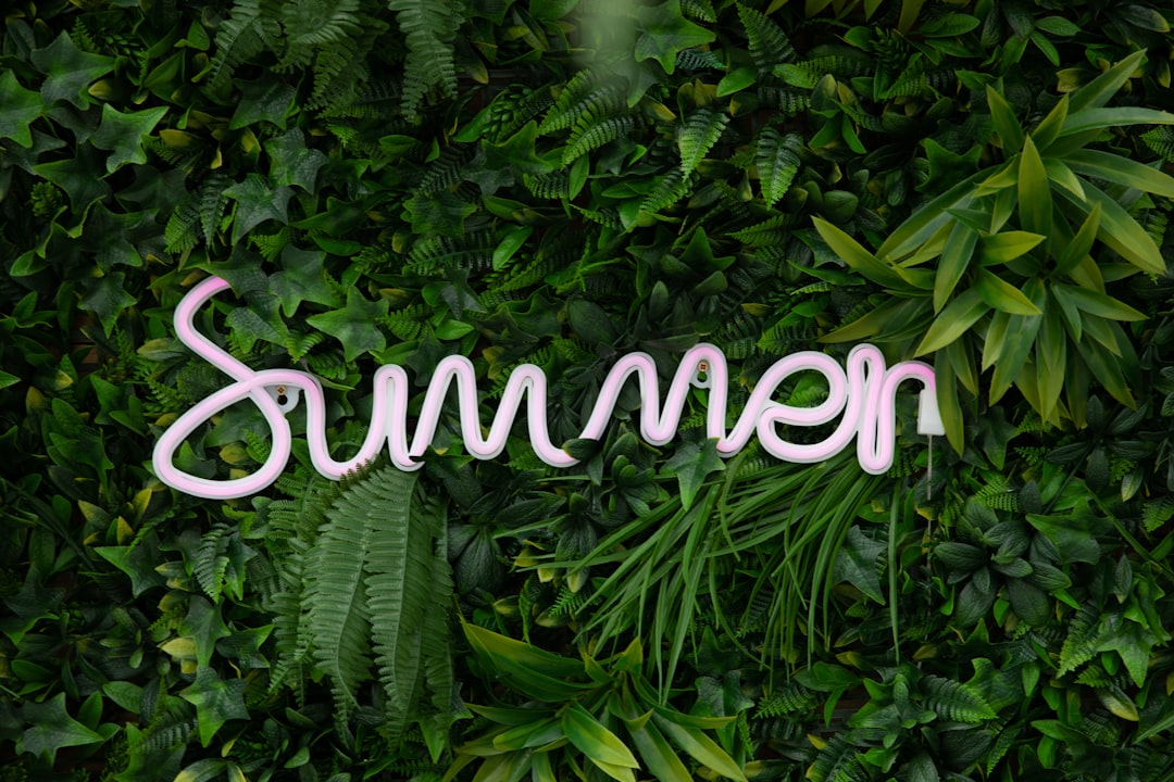 Zeewierdecor: de maritieme trend voor een frisse zomerlook
